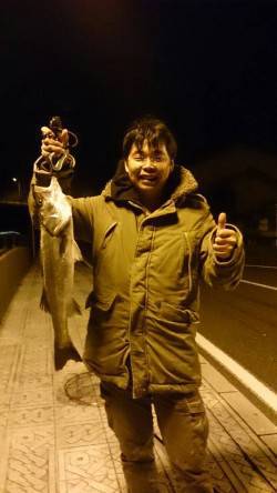 日向湖北端の水路、上からのぞくとシーバスの…