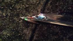 舞洲周辺　ルアーでタチウオF4.5 93c…