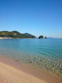 島陰　ちょい投げのキス楽しめます