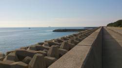 早朝からルアーでタチウオ狙い