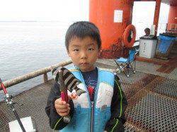 尼崎魚つり公園釣台柱周りでサンバソウ　小チヌ混ざりズボ釣り入門にぴったり