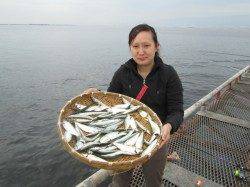 尼崎市立魚つり公園 サビキで5目釣り達成!