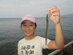 尼崎市魚つり公園　今日はサヨリが絶好調　イワシやチヌも