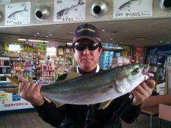 尼崎市魚つり公園 サビキはカタクチイワシ 他サヨリも好調