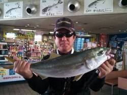 尼崎市魚つり公園　サビキはカタクチイワシ　…