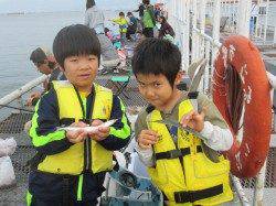 尼崎市魚つり公園 サビキはカタクチイワシ 他サヨリも好調