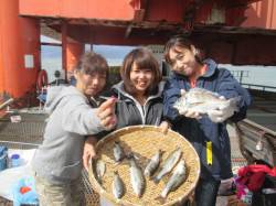 尼崎市立魚つり公園　サビキでチヌ・セイゴな…
