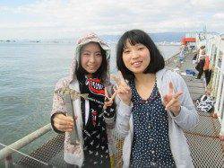 尼崎市立魚つり公園　サビキでチヌ・セイゴなど