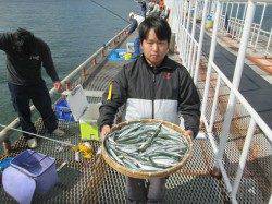 尼崎魚つり公園　サゴシ釣果ありノマセ釣りはいい状況、サヨリも好調キープ