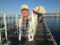 朝からイワシの大きな群が！尼崎市立魚つり公園