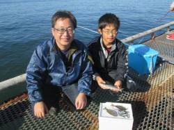 朝からイワシの大きな群が！尼崎市立魚つり公…