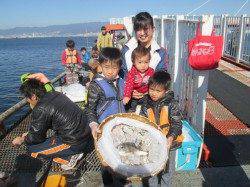 尼崎市立魚つり公園　サビキでは午前中カタクチイワシ一色でした