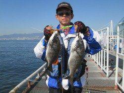 尼崎市立魚つり公園　フカセで良型チヌ　サヨリは今日は復活！