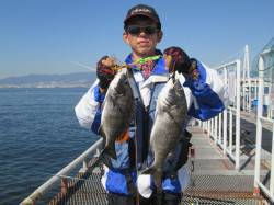 尼崎市立魚つり公園　フカセで良型チヌ　サヨ…