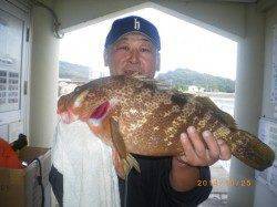 姫路市立遊漁センター　53cmの良型アコウやカレイの釣果