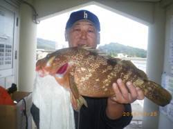 姫路市立遊漁センター　53cmの良型アコウ…