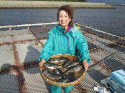 尼崎市立魚つり公園　サヨリ好調　グレも釣れ出しました