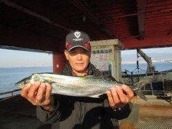 尼崎市立魚つり公園　連日好調のサヨリ本日はムラありました