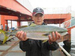 尼崎市立魚つり公園　フカセ・サビキでグレ、ノマセでメジロ64.5cmも