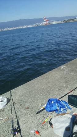 尼崎　ノマセでサゴシ&ショアジギン…