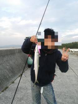佐野　ショアジギングで51cmのサゴシがヒ…