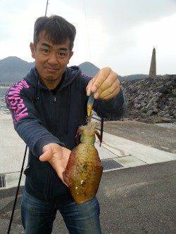 諸寄港　旅行先で朝イチのエギングでアオリイカをキャッチ