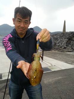 諸寄港　旅行先で朝イチのエギングでアオリイ…