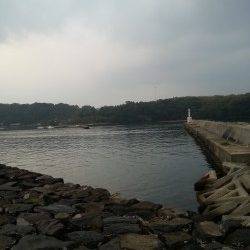 諸寄港　旅行先で朝イチのエギングでアオリイカをキャッチ