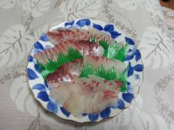 平磯海づり公園　ハネと良型グレをバラシ…最…