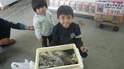 みなべ鹿島の船着にてヤエンでアオリイカ865g