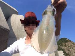 戸坂・塩津漁港　昼から夕まずめにかけてのエ…