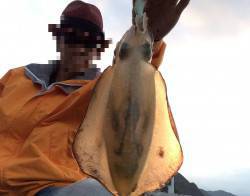 海南エリアでエギング　今シーズン一番重量感…