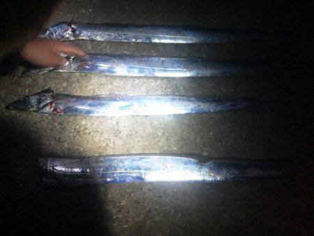 舞洲　台風後のタチウオ調査〜ワインドで1匹…