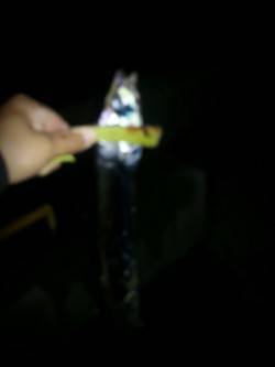 舞洲　18時前後にタチウオのアタリ〜ボトム…