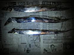 夕方の舞洲　所々でナブラ☆タチウオの活性高…