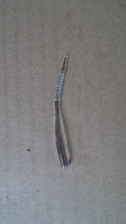 りんくうにデイアジング調査へ出陣！　足元テ…