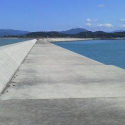 一文字からタチウオ狙いましたが…カゴ釣りで…