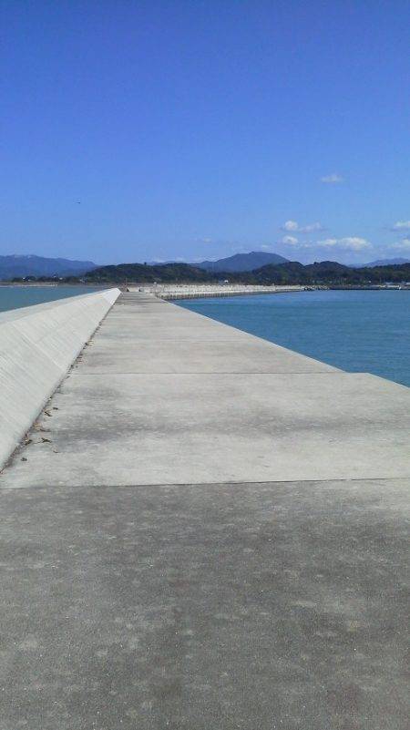 一文字からタチウオ狙いましたが…カゴ釣りで…