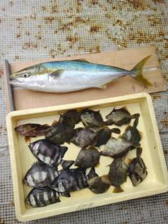 岸和田一文字　沖の北でタチウオ　旧の赤灯台…