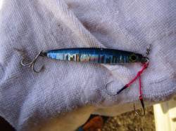 貝塚ショアジギングでサゴシヒット！　7cm…