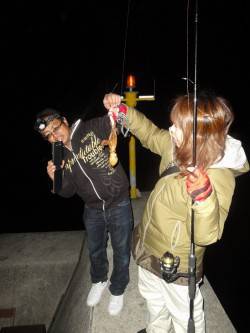 淡路島エギング　蟇浦でアオリイカ、室津でタ…