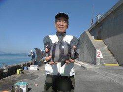 北港魚つり公園でサンバソウ34cm