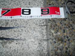 りんくう　ウキ釣りでタチウオ釣行はサイズに…