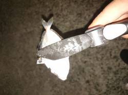 仕事帰り南港にてアジング　向かい風の暴風の…