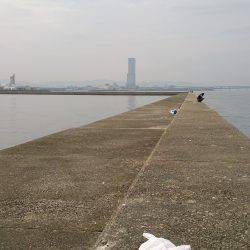 大阪南港　ワインドでタチウオ狙い、食い渋か…
