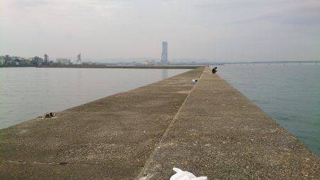 大阪南港　ワインドでタチウオ狙い、食い渋か…