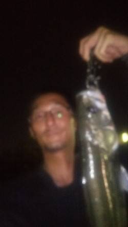 岸和田　メタルバイブのストップ＆ゴーでシー…