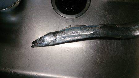 宇久　港内足元近くでフォール中にヒット　エ…