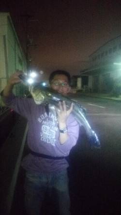 岸和田周辺河川にてシーバス65cm！