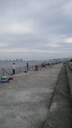 大盛況！南芦屋浜ベランダでのワインド釣行